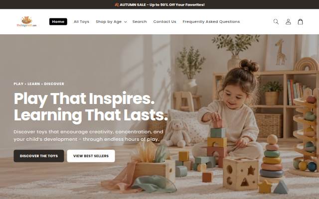 Toys Nest storefront