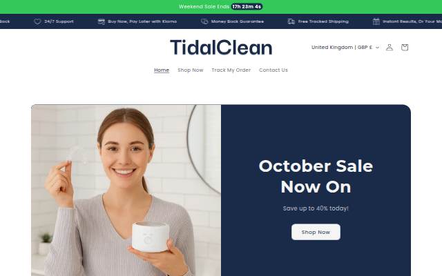 Startseite von TidalClean