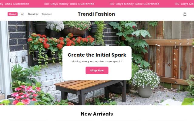 Trendi Fashion storefront