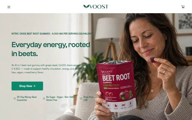 Startseite von Try Voost