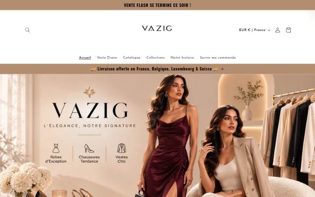 VAZIG storefront