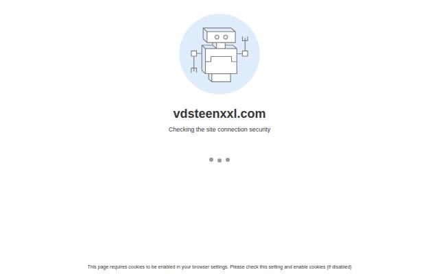 vdsteenxxl.com storefront