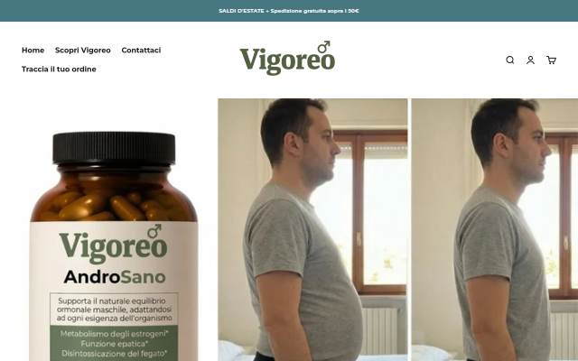 Vigoreo storefront