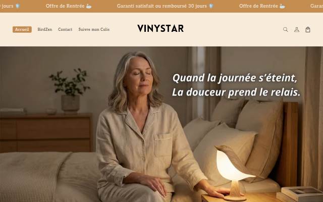 VinyStar storefront