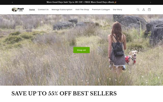 Waggle Hound storefront