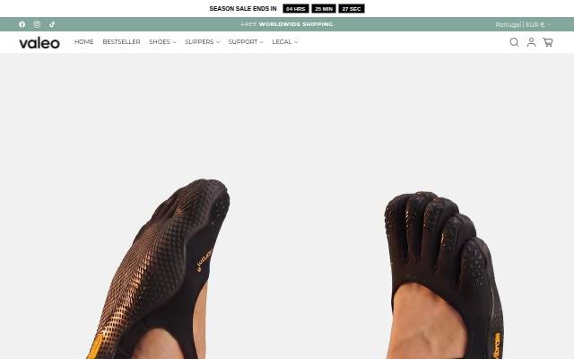 Startseite von VALEO