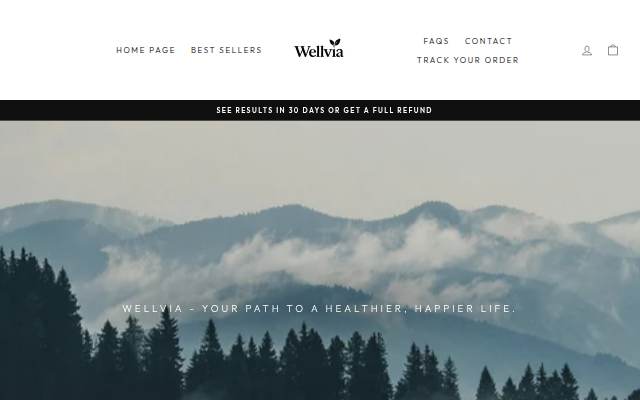 wellvia storefront