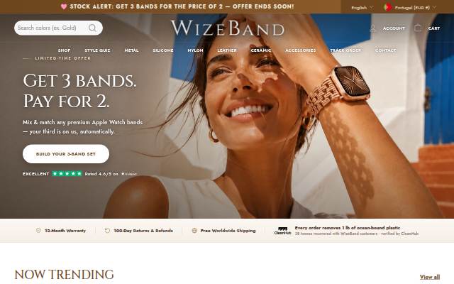 WizeBand storefront