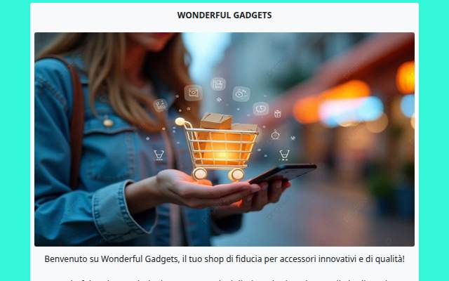 Wonderful Gadgets storefront