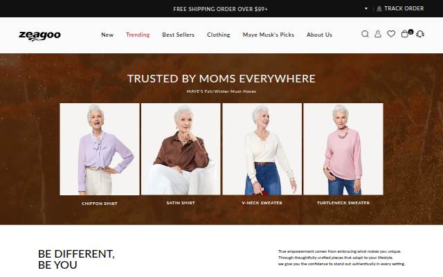 ZEAGOO storefront