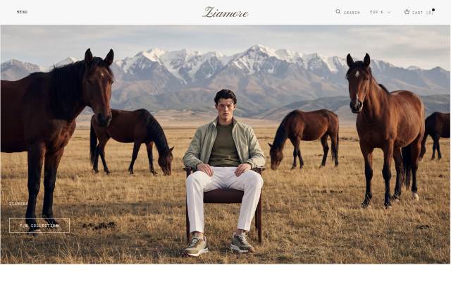 Ziamore Wear storefront