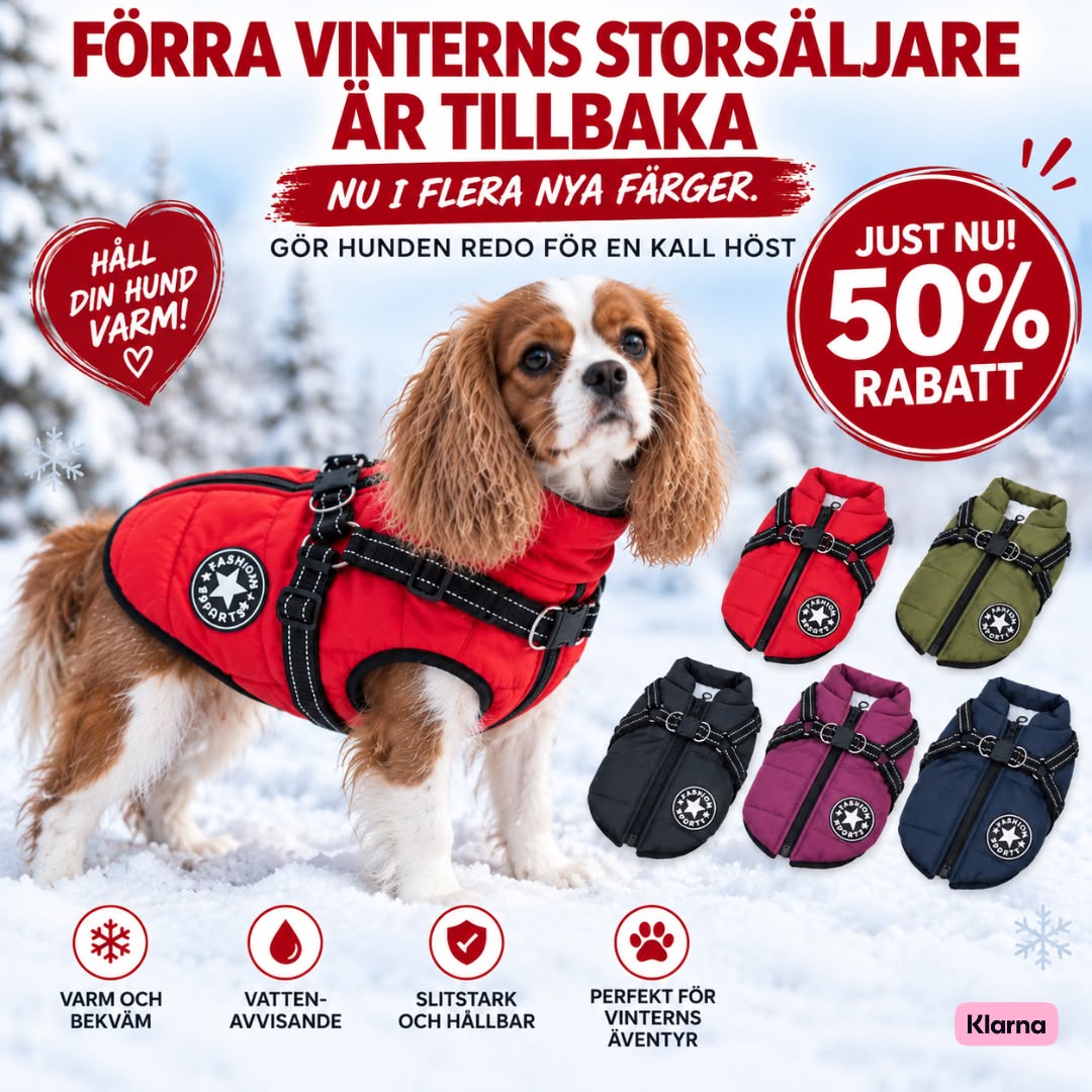 Jacka + sele i ett – nu halva priset!