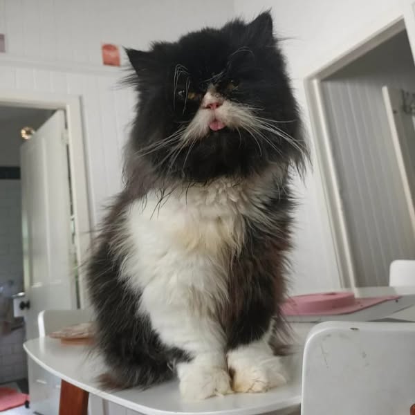 Is She Really “Just Getting Old”?