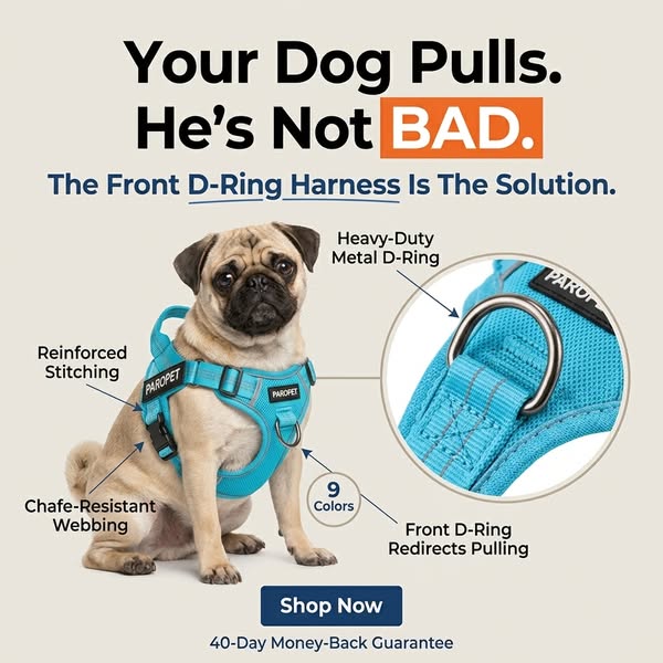 Dog Pulling? Dragging? Consider Them Handled.