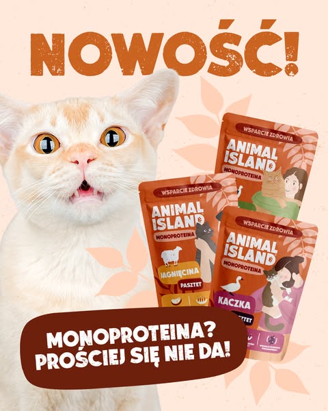 Nowości