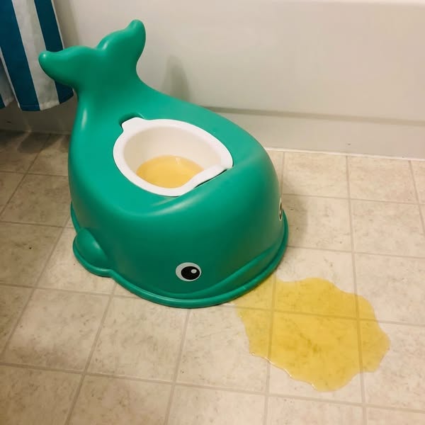 Read THIS If You Want To Potty Train Them..