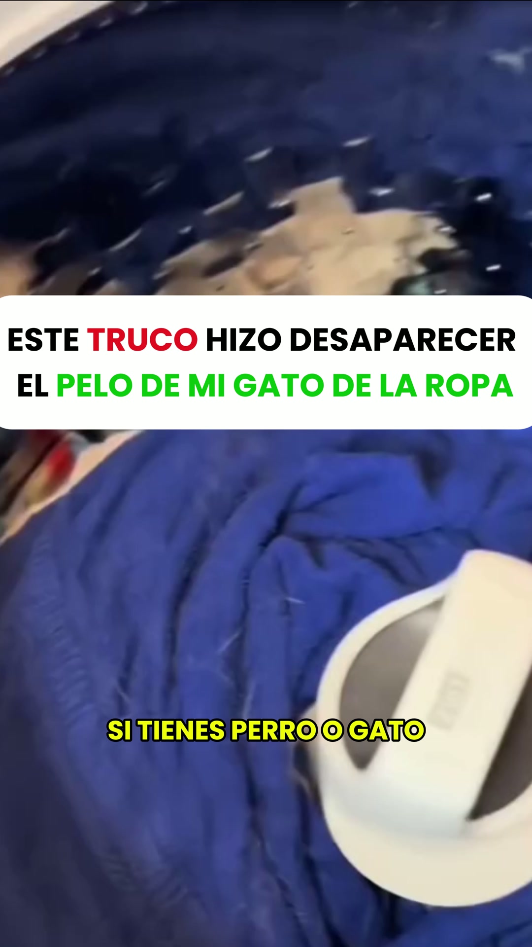 Adiós a los pelos en tu ropa