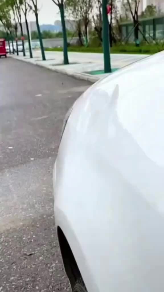 Mini Car Dent Repair Puller