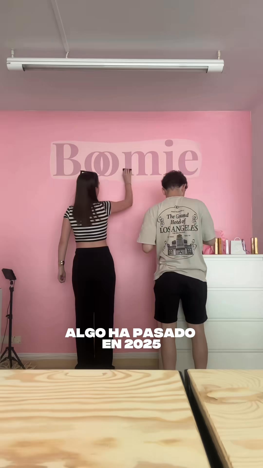 Descubre nuestra colección