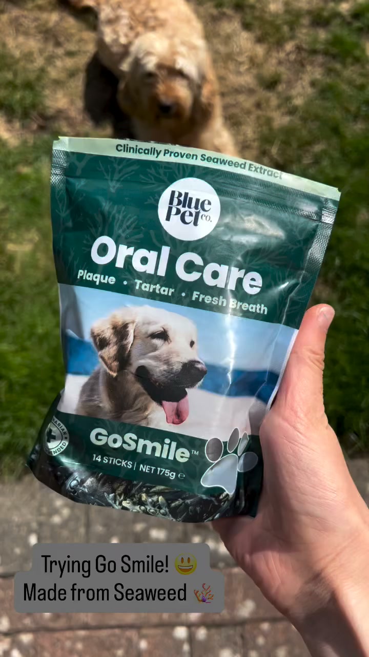 Fresh Breath & Cleaner Teeth