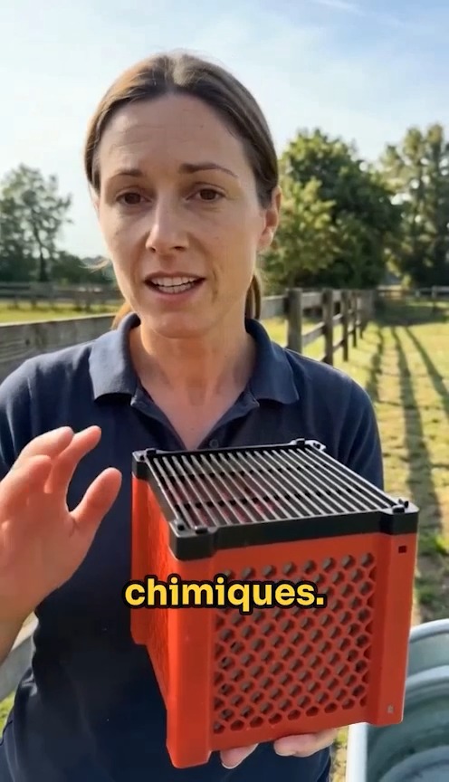 Anúncio de Cavalier Propriétaire