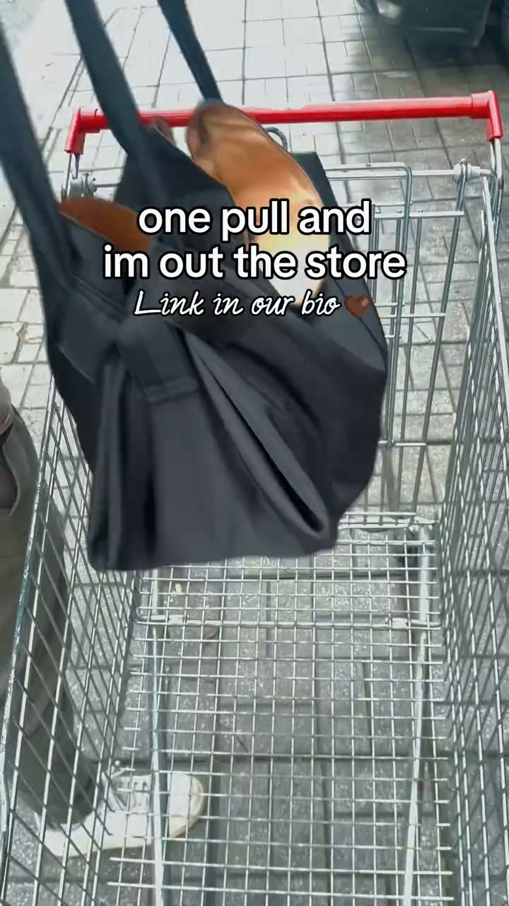 The Tote That Closes, Washes & Folds Flat