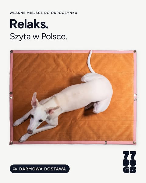 Mata dla psa zwijana w rulon