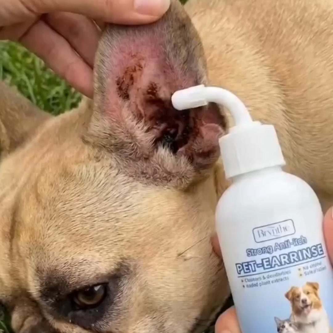 Oorreinigingsdruppels voor Honden en Katten 60 ml