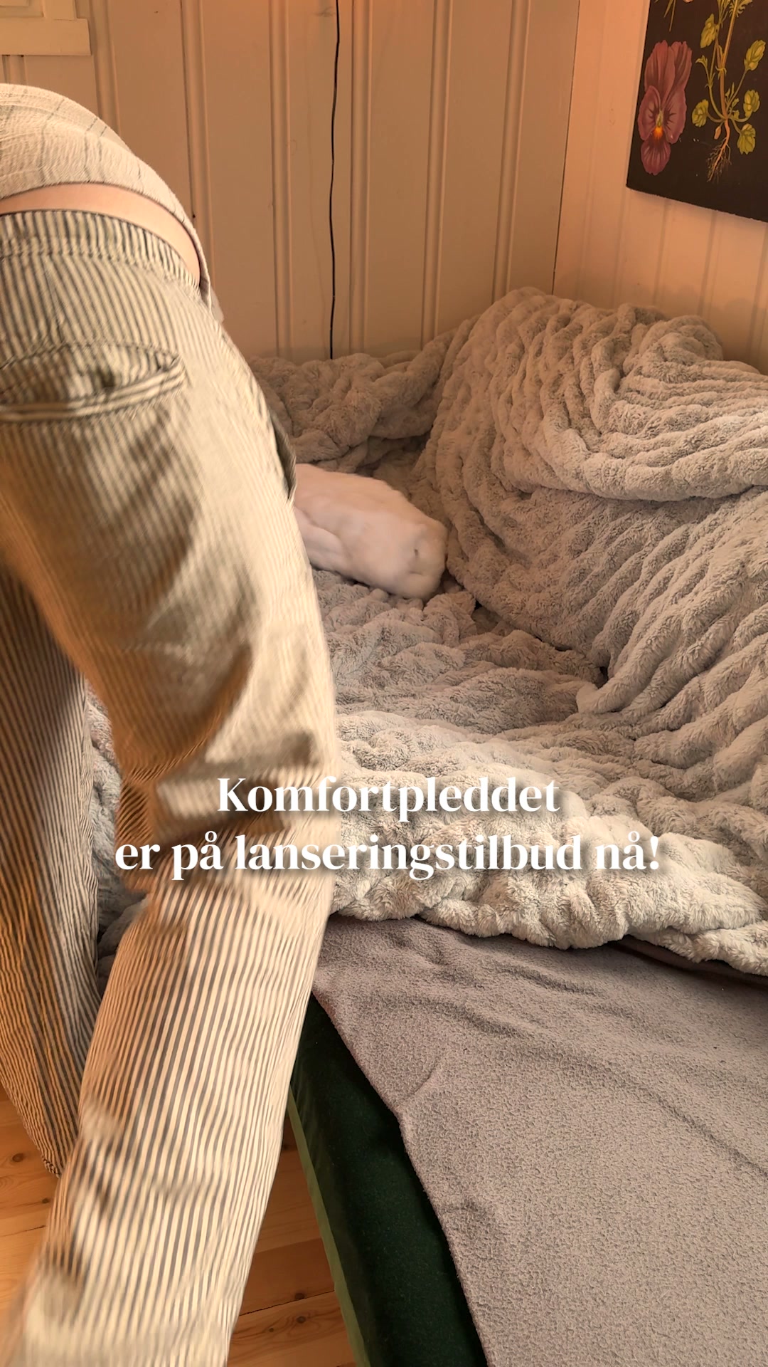 Min nye sofafavoritt