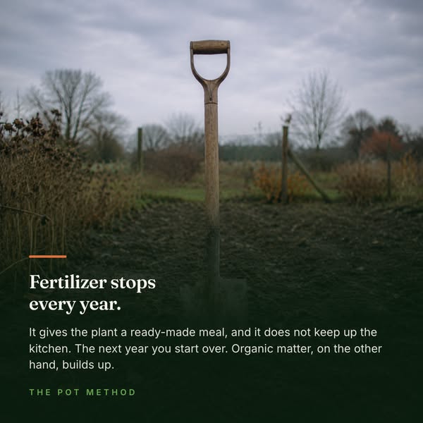 You do not feed a plant, you feed the soil