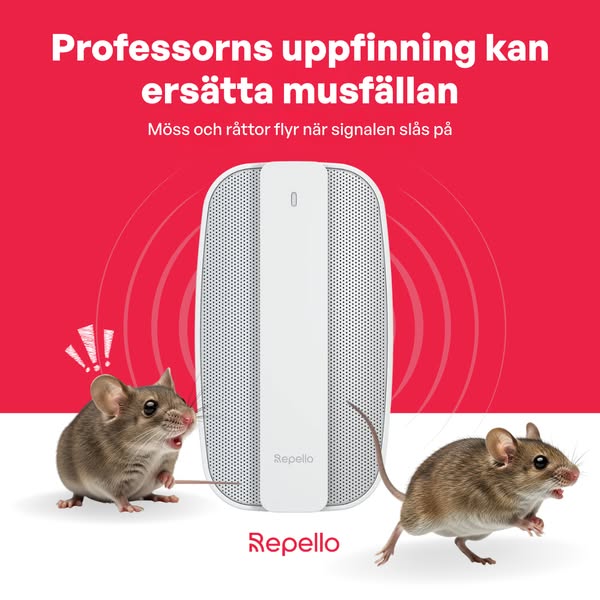 Svensk ljudteknik ska få möss och råttor att lämna – i stället för att fångas en efter en.