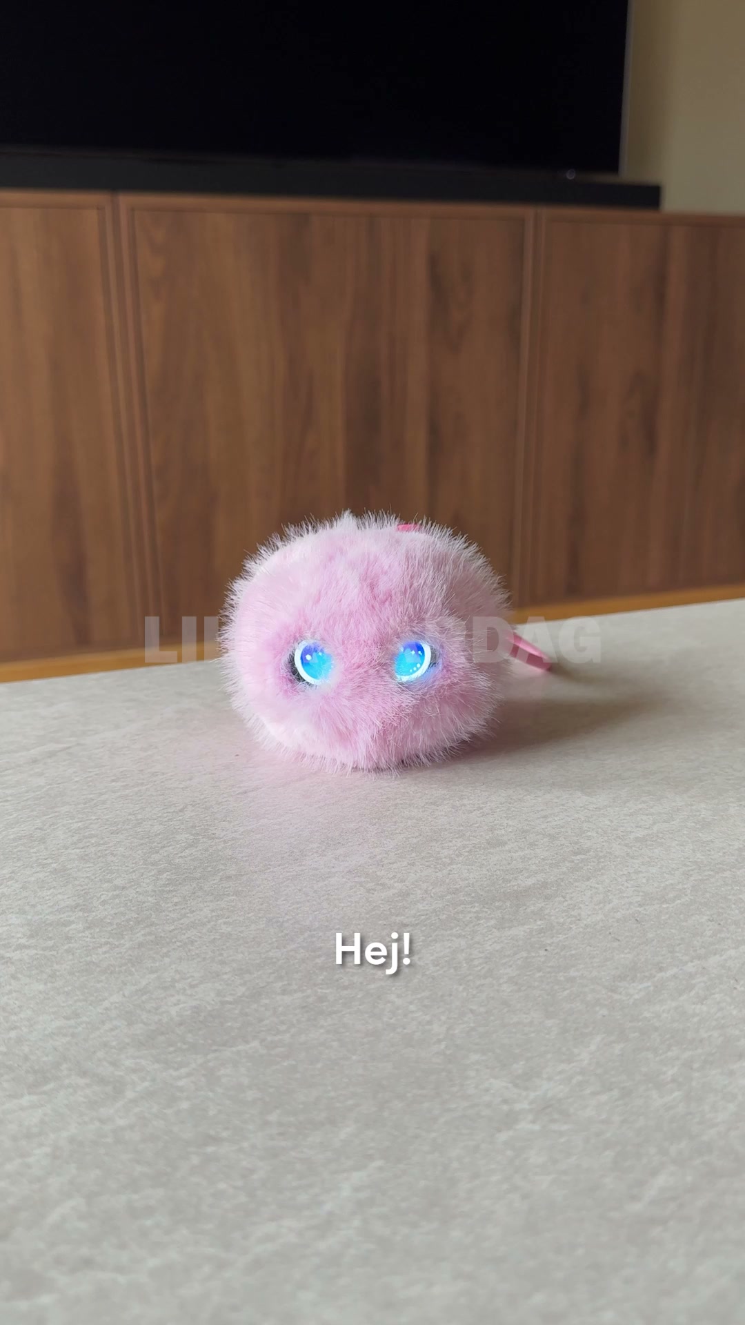Bubbi