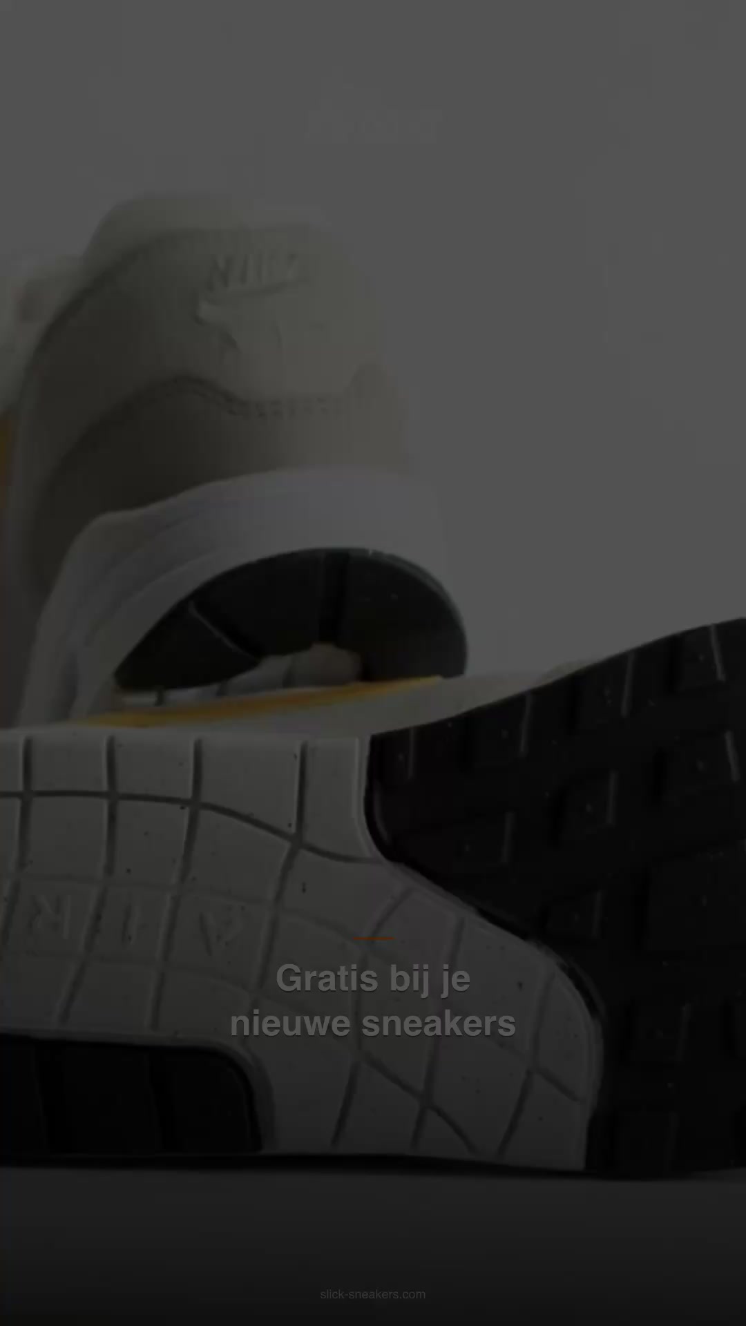 Gratis protector bij je sneakers · code CLEAN