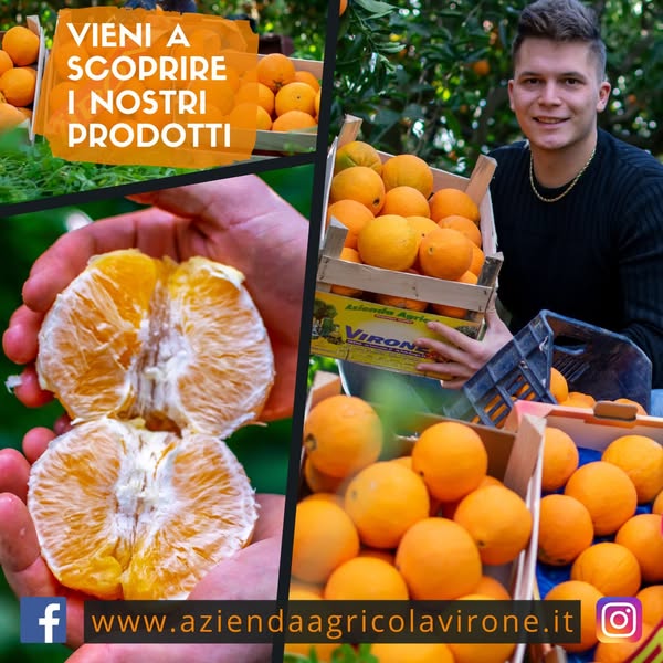 Acquista le VERE Arance Siciliane al naturale