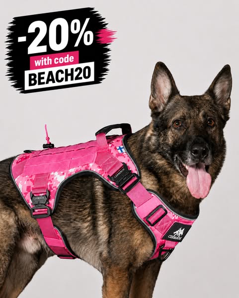 20% With Code BEACH20