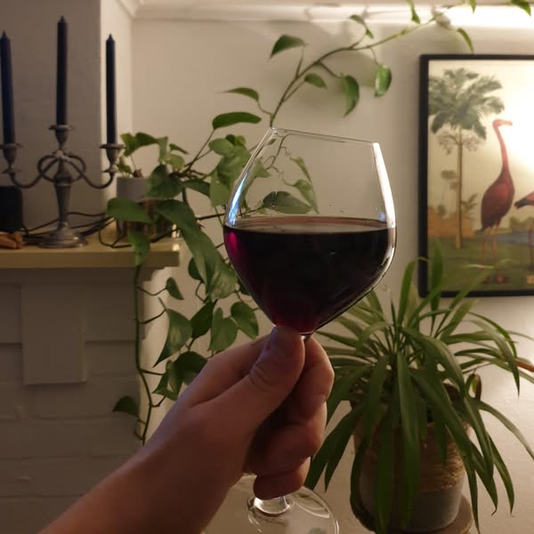 L'alcool m'a vidée de ce minéral