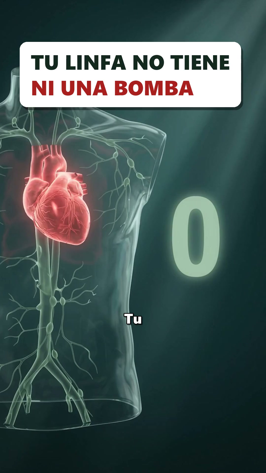No Culpes A Tu Estilo De Vida — Apoya Primero Tu Sistema Linfático