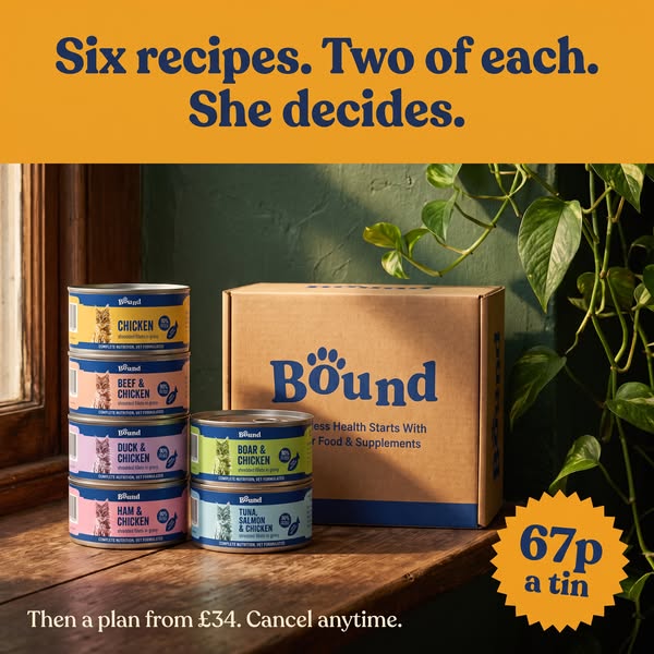Only £7.99 for 12 Tins!