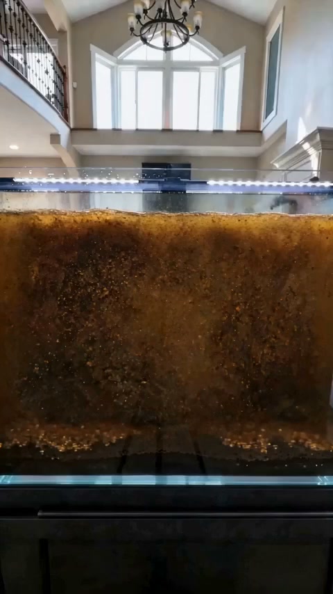 Your fish are swimming in their own waste. This gravel cleaner fixes that — without the 5-gallon bucket struggle.