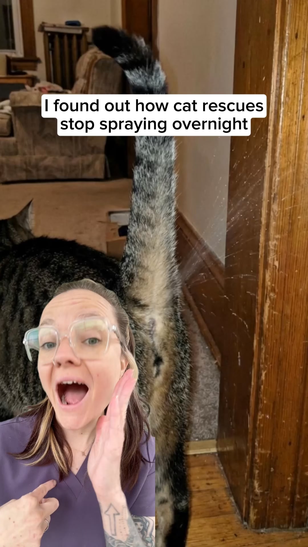 Why You Shouldn't Ignore These Cat Behaviors!