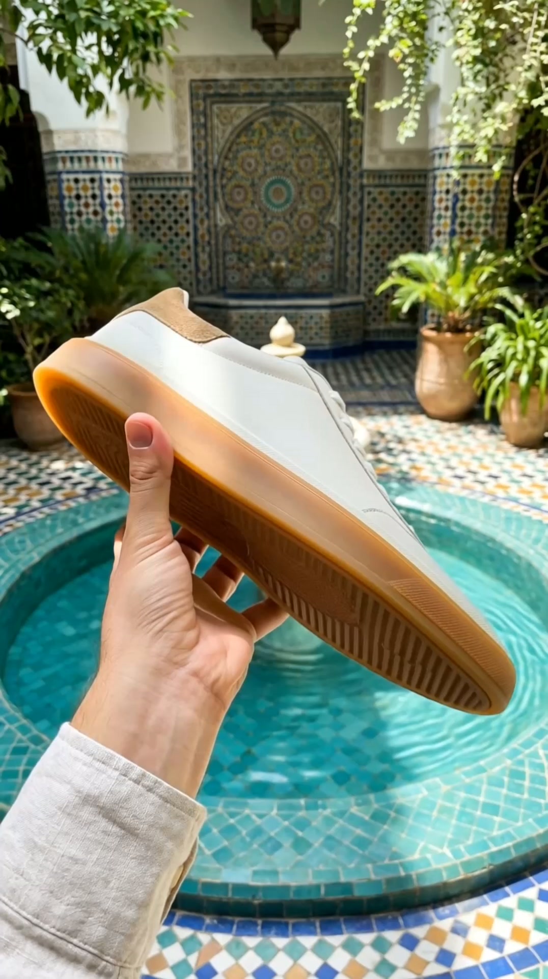 The Corso Trainer — Borealé