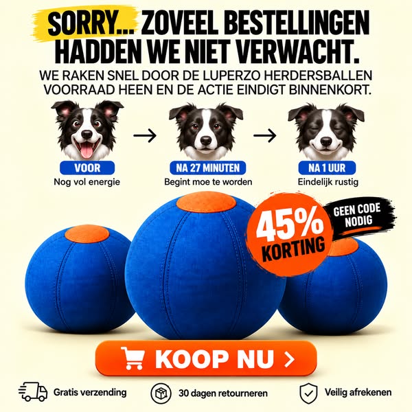 Het enige wat je hond écht nodig heeft