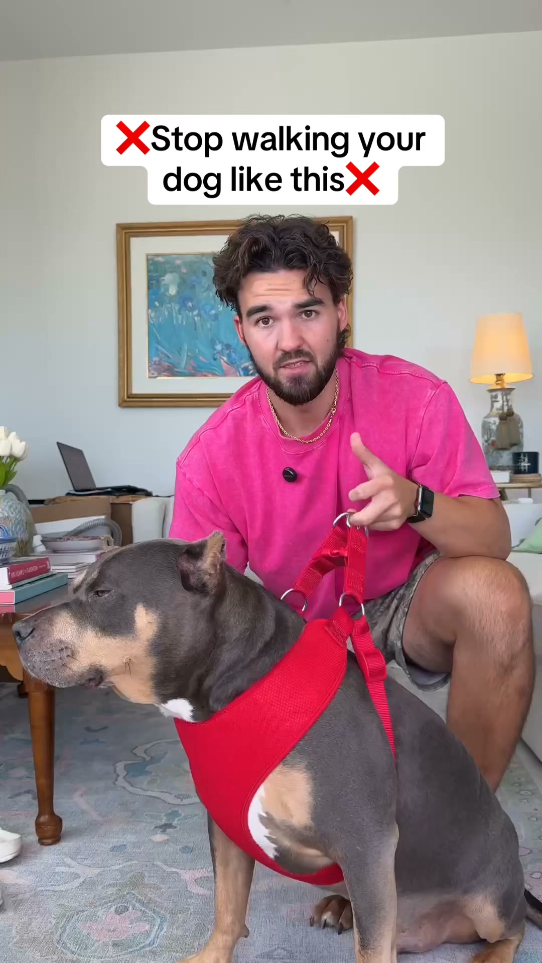 Rated #1 By Dog Owners
