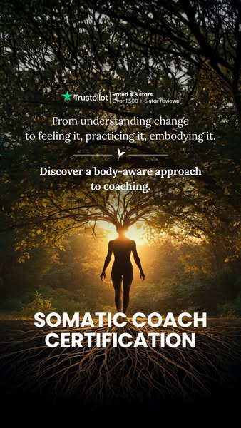 Heal Through Body Awareness – Get Certified