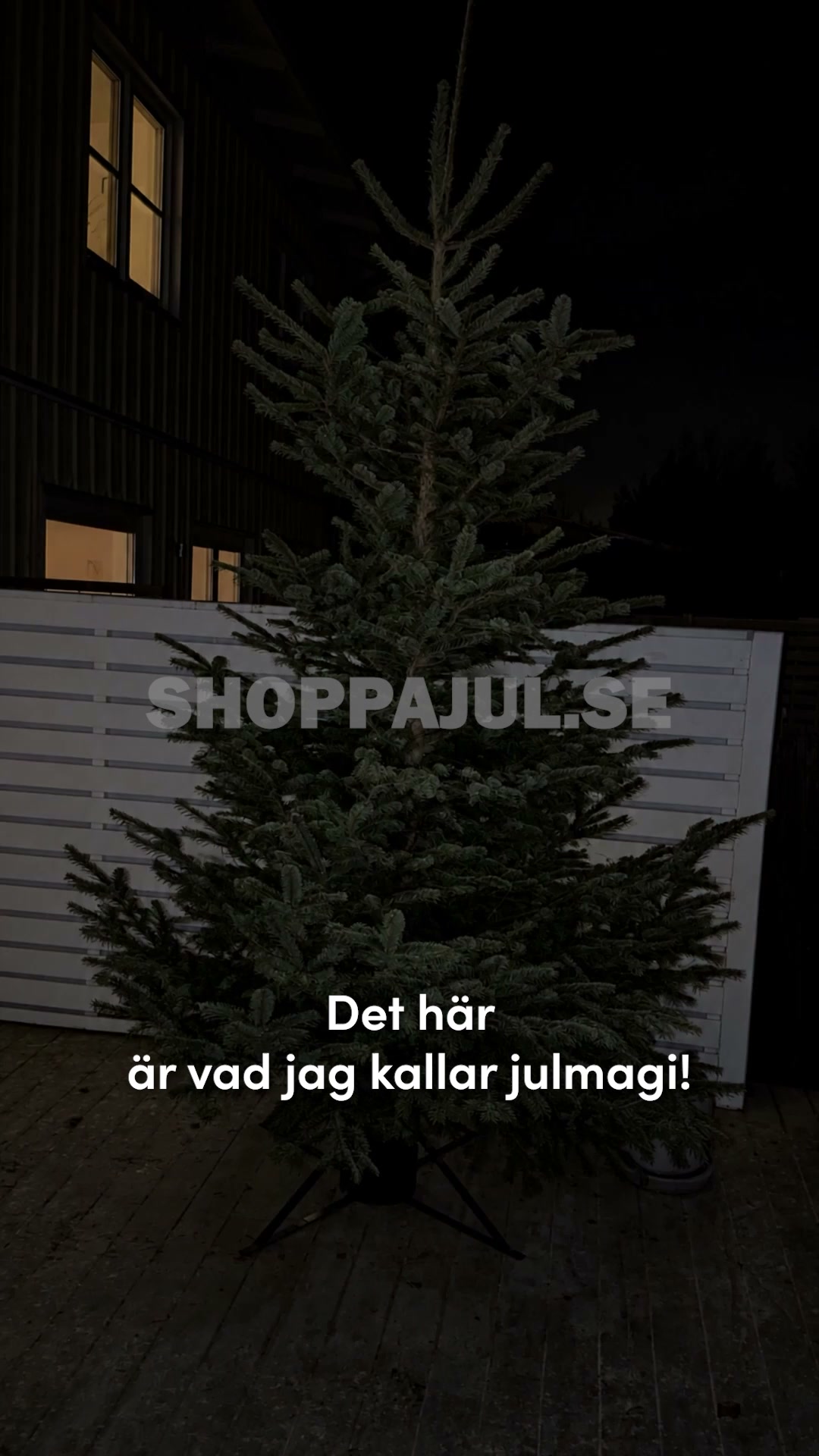 Julgransbelysning