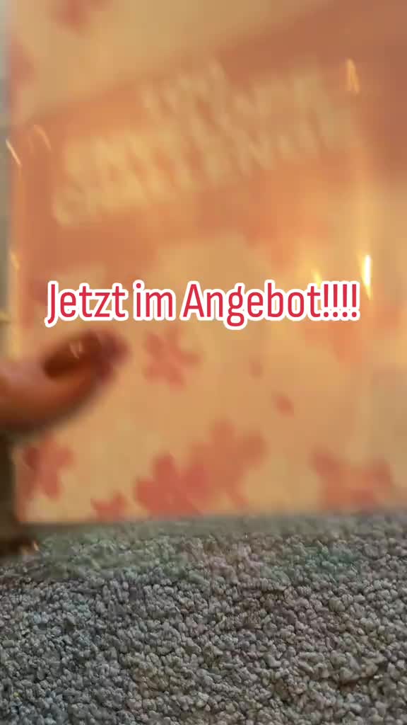 100-Tage-Sparherausforderungs-Ordner