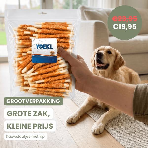 Grote zak, kleine prijs