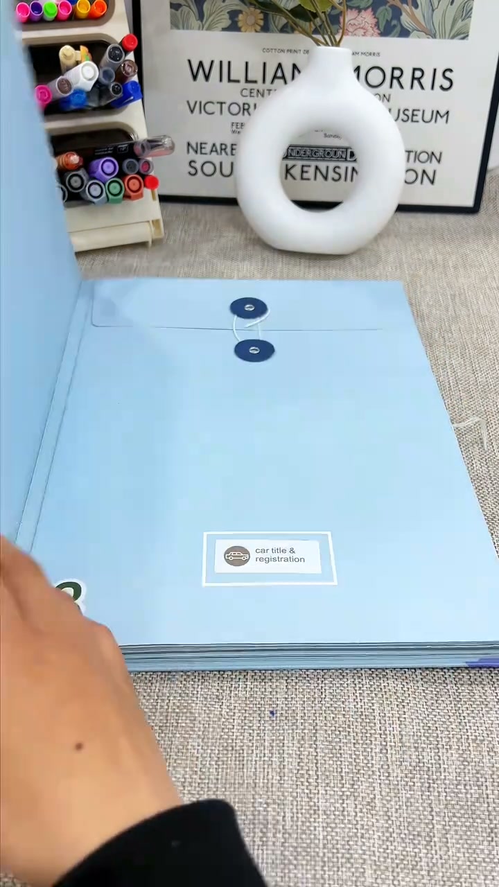 Accordion File Organizer