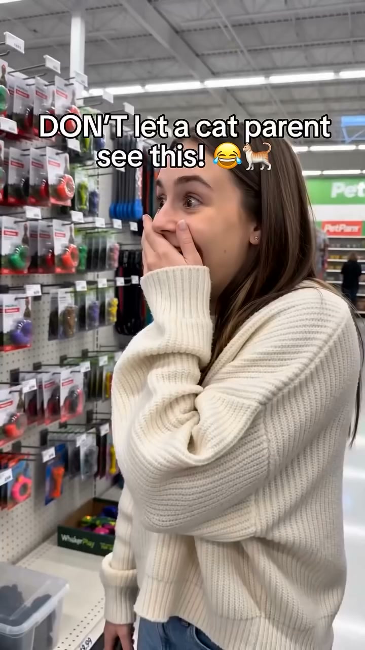 Your Cat Will Actually Play With This