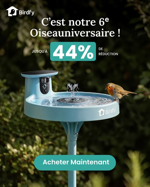 Birdfy Bath Pro Capturez chaque éclaboussure en détail – Double objectif avec zoom IA, alimenté par le soleil.